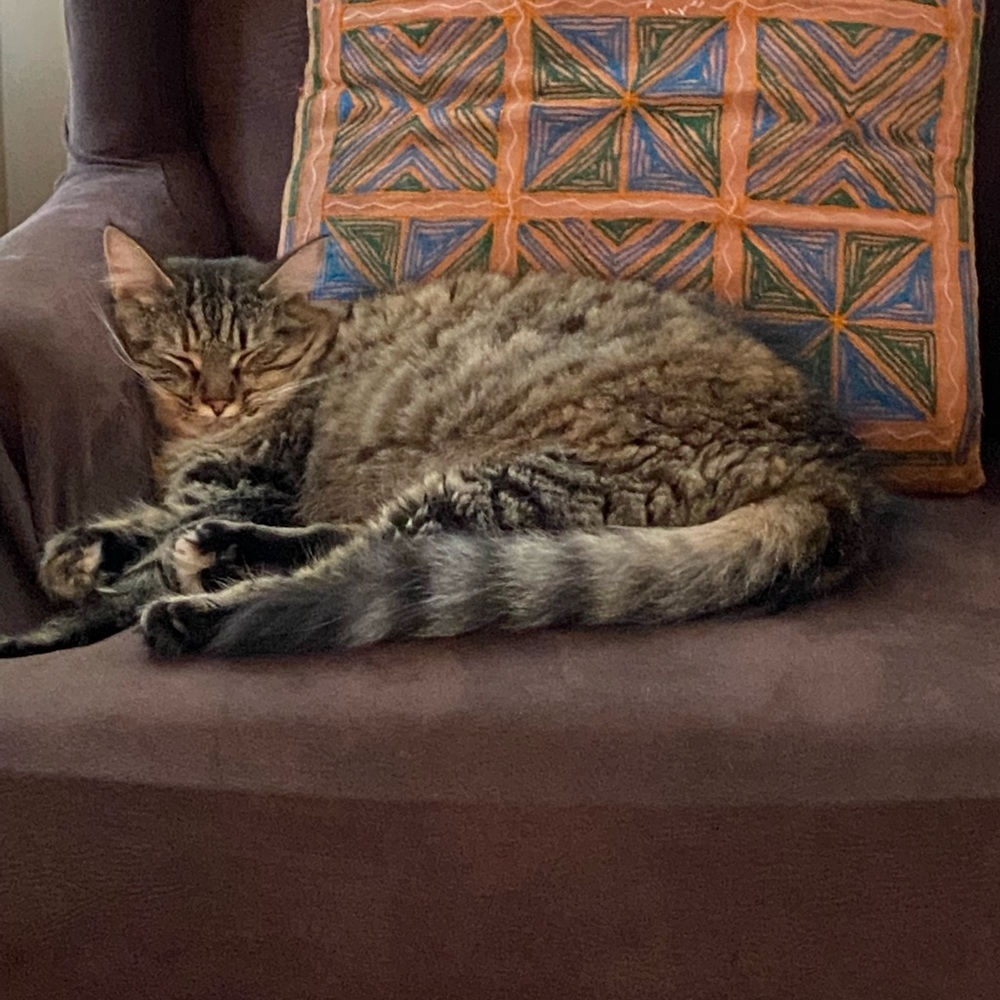 Meet your Posher, Monique